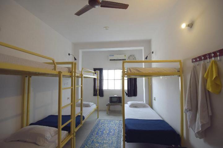 Chalo Eco Hostel Jaipur Eksteriør billede